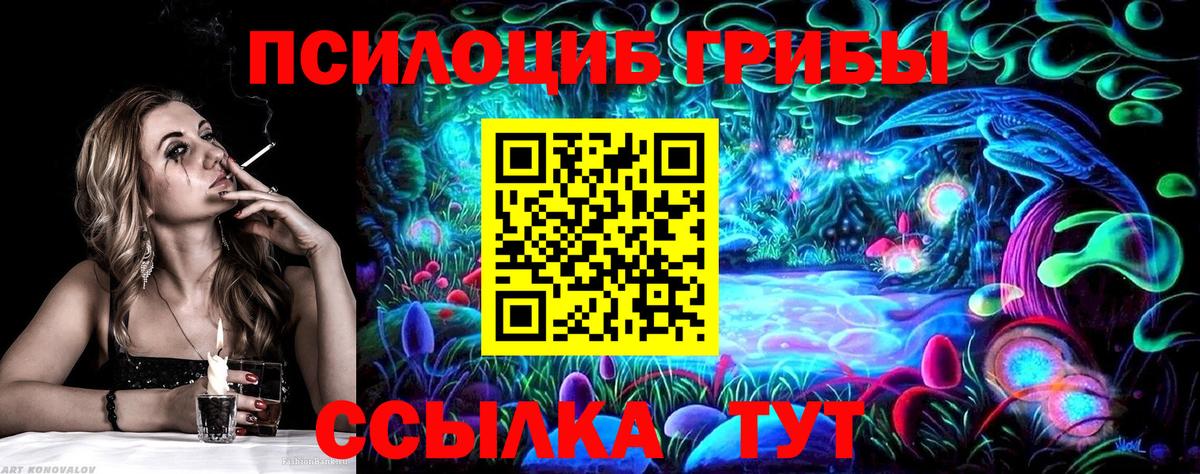 Псилоцибиновые грибы Psilocybine cubensis  Лениногорск 